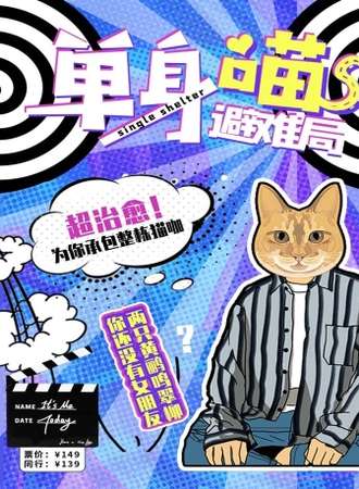 魔都单身避难局 带你走进殿堂级名猫舍