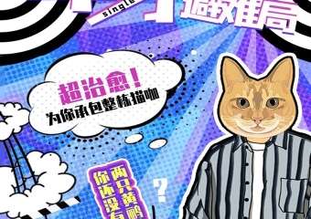 【展宣】魔都单身避难局 带你走进殿堂级名猫舍