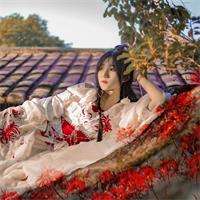 梦梦子