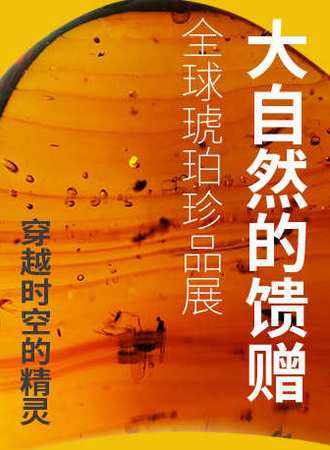 大自然的馈赠——全球琥珀珍品展