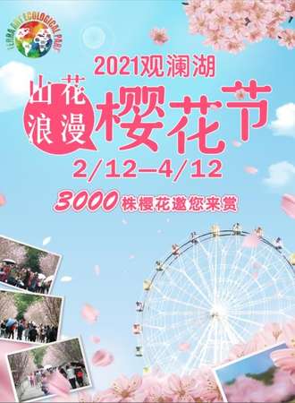 2021深圳观澜湖第五届樱花节