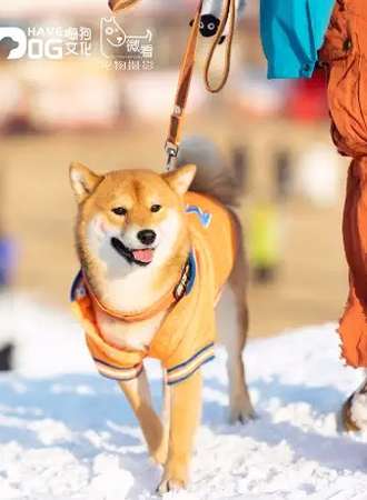 杨柳青庄园门票+宠物滑雪乐园套票