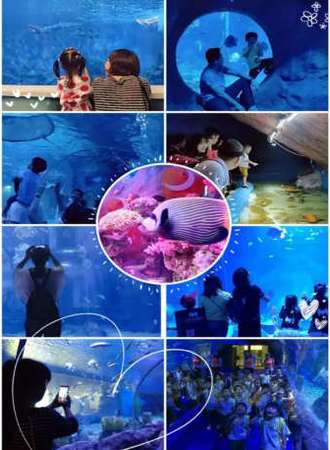 海之语海洋世界