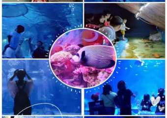 【展宣】海之语海洋世界