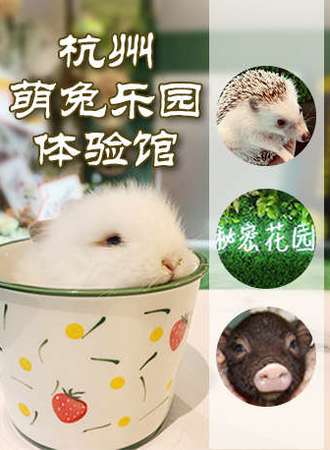 welcome to Hangzhou 萌兔乐园体验馆