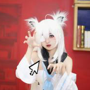 诺卡