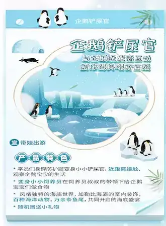 企鹅铲屎官