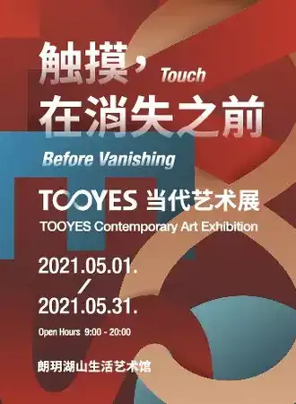 《触摸在消失之前》TOOYES当代艺术展