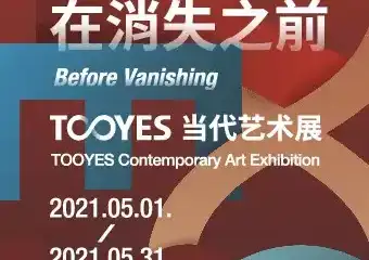 《触摸在消失之前》TOOYES当代艺术展