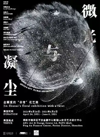 凝尘与微光Ashes & Ray