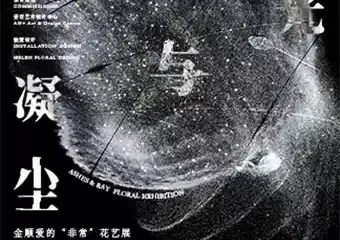 凝尘与微光Ashes & Ray