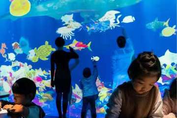 【展宣】EPSON teamlab无界美术馆-teamlab Borderless Shanghai