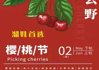 第二届去野樱桃节，浪漫樱桃采摘季甜蜜亲子时光！