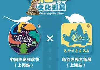 【展宣】新~