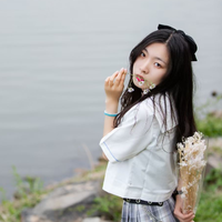 白熊