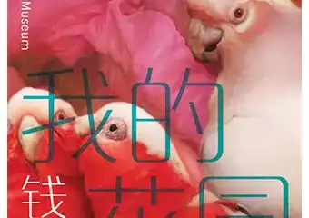 钱纲：我的花园