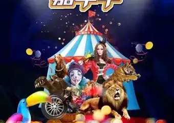 2021大连东港首届马戏美食嘉年华