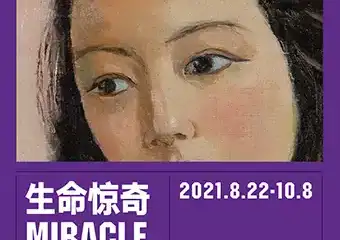 生命惊奇: 泰康保险集团25周年艺术收藏展