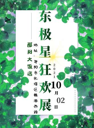 邵阳东极星狂欢展