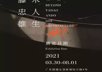 超越：安藤忠雄的艺术人生