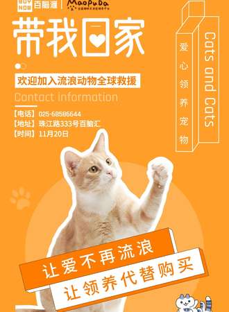 【带我回家】冬日暖心猫咪公益领养活动