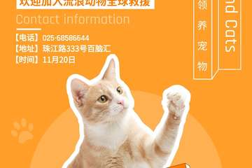 【免费活动】百脑汇“带我回家”