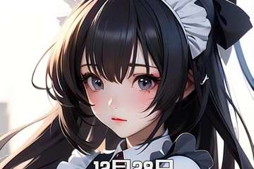 12月28日 2024第二十五届重庆星幻动漫节介绍