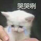 纸犬犬犬犬柚 的空间