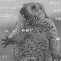 张天宝 的空间