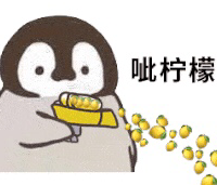 麻瓜亖 的空间