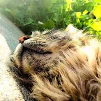 宅蓝猫 的空间