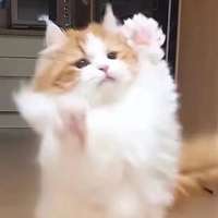溟溟溟溟 的空间