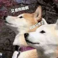 墨鸢不是墨渊 的空间