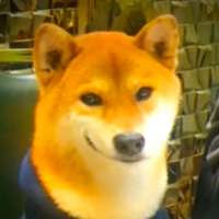 铁钵白嫖真菌 的空间