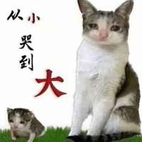 妤鹭 的空间