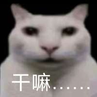 阮清歌 的空间