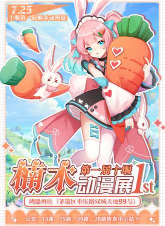 十堰·第一届楠木动漫展