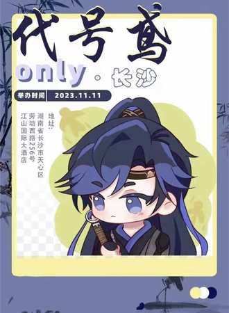 长沙·代号鸢only
