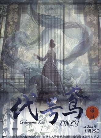海口·代号鸢only