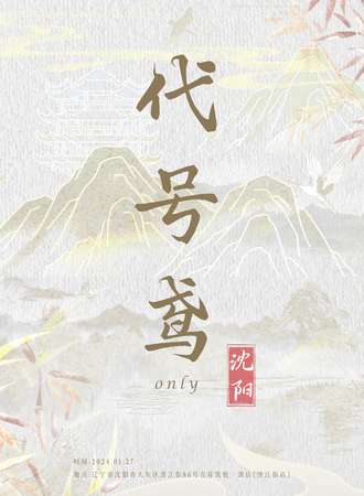 沈阳·代号鸢only