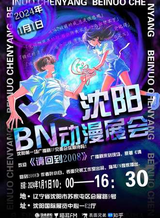 沈阳·BN2008内场票