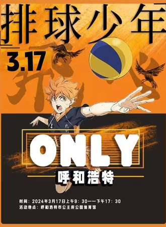 呼和浩特·排球少年only