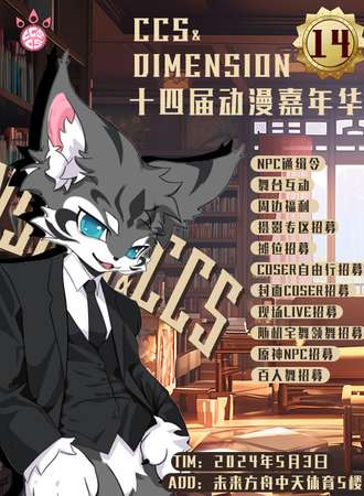 贵阳·CCS&DimeSion14动漫嘉年华