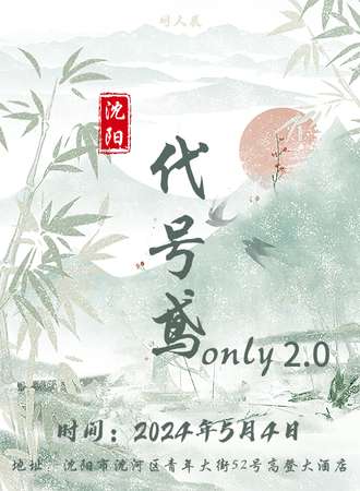 沈阳·代号鸢only2.0