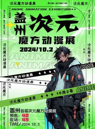 盖州·首届次元魔方动漫展