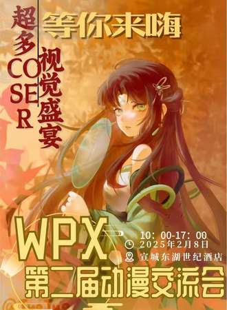 宣城·WPX动漫交流会