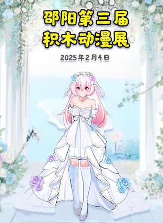 邵阳·第三届积木动漫展