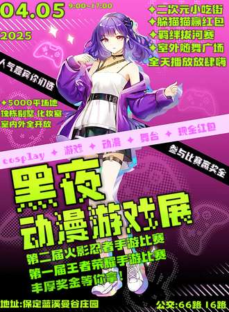 保定·第二届黑夜游戏动漫展