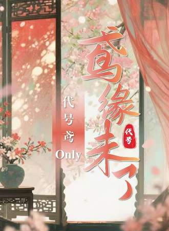 武汉·鸢缘未了代号鸢同人only